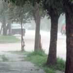 223735-alerta-por-lluvias-y-granizo-este-domingo-informe-del-servicio-meteorologico-nacional