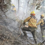 442690-el-gobierno-de-javier-milei-despliega-un-enorme-operativo-para-combatir-los-incendios