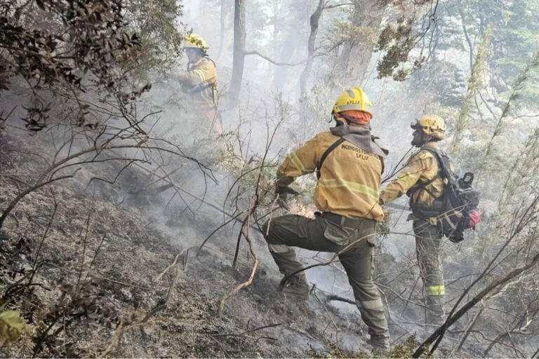 El Gobierno de Javier Milei despliega un enorme operativo para combatir los incendios