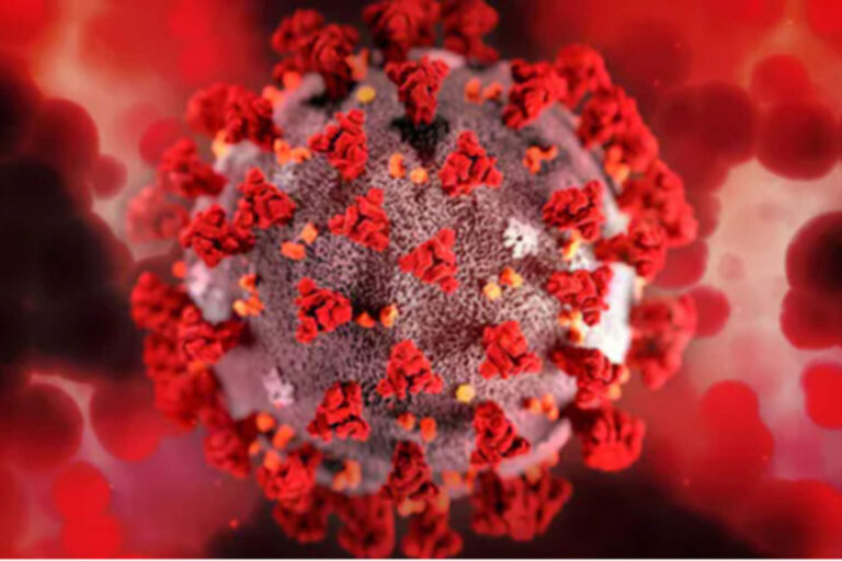 Científicos chinos descubrieron un nuevo coronavirus que podría infectar a humanos