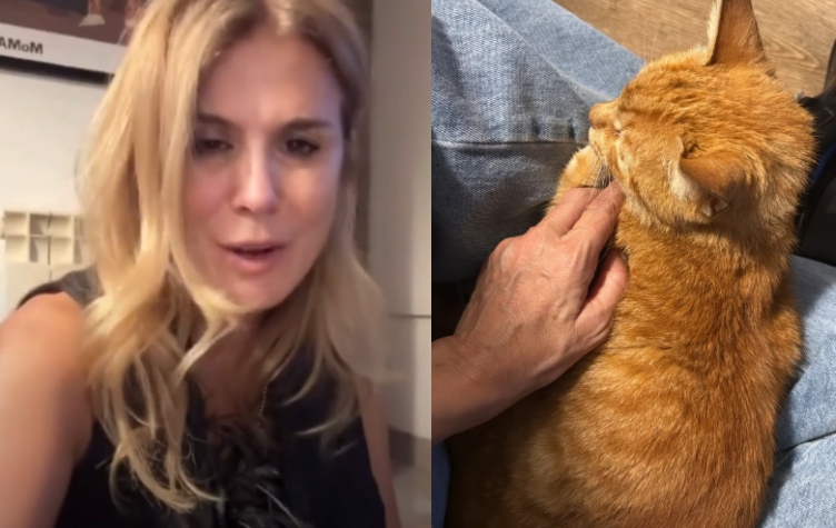 Qué emoción! Flavia Palmiero contó cómo se reencontró con su gato perdido después de dos meses