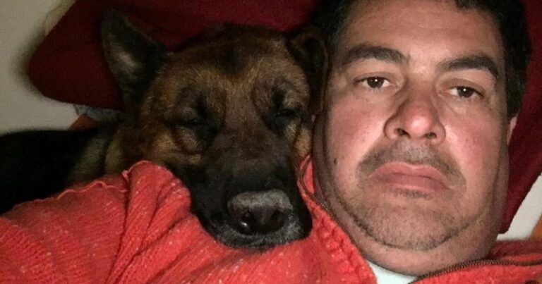 Un sicario y dos socios, presos por acribillar a un empresario hotelero por una deuda