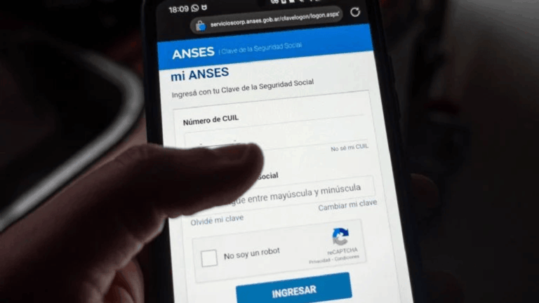 ANSES: los requisitos necesarios para acceder a la Asignación por Maternidad