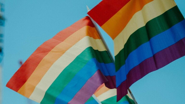 Día del Orgullo LGBTIQ+: por qué se conmemora el 28 de julio