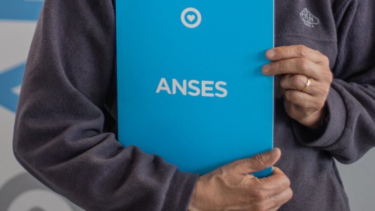 ANSES: Crédito aprobado? Descubrí si calificás para AUH o jubilación sólo con el DNI