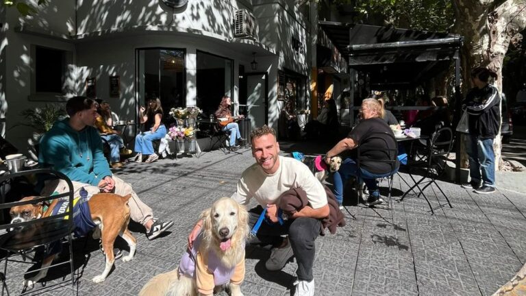 Llega el DogDay festival, un evento para que las mascotas disfruten con sus humanos