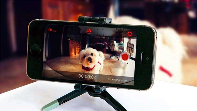 Así podés convertir tu celular viejo en una cámara de vigilancia casera