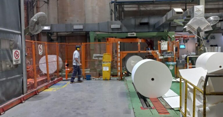 Celulosa Argentina frenó la producción en dos plantas y busca un socio que entre al negocio