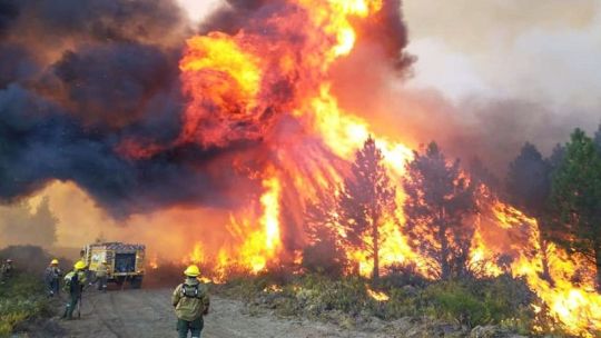 Córdoba en el frente del fuego en Chubut: brigadistas combaten uno de los peores incendios de los últimos 20 años